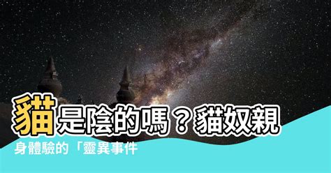 貓是陰的嗎